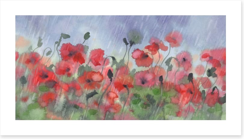 Poppies in the storm