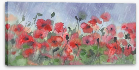 Poppies in the storm