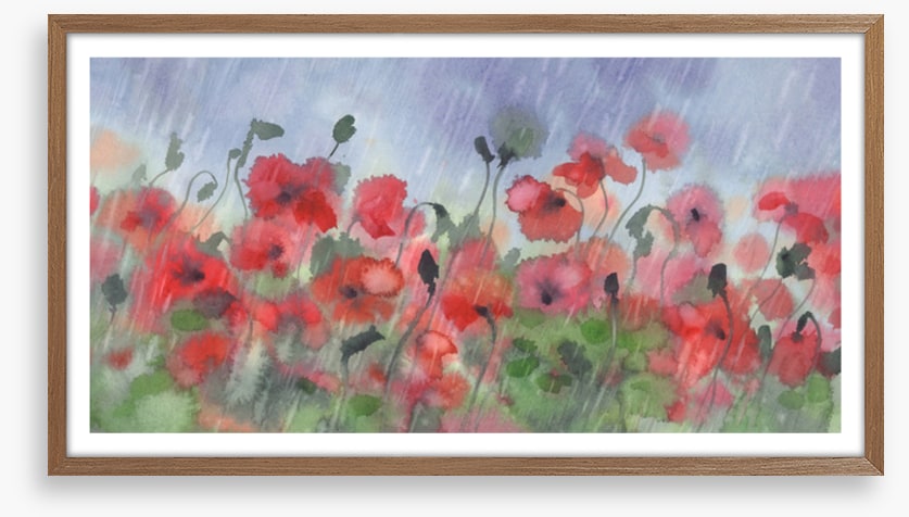 Poppies in the storm