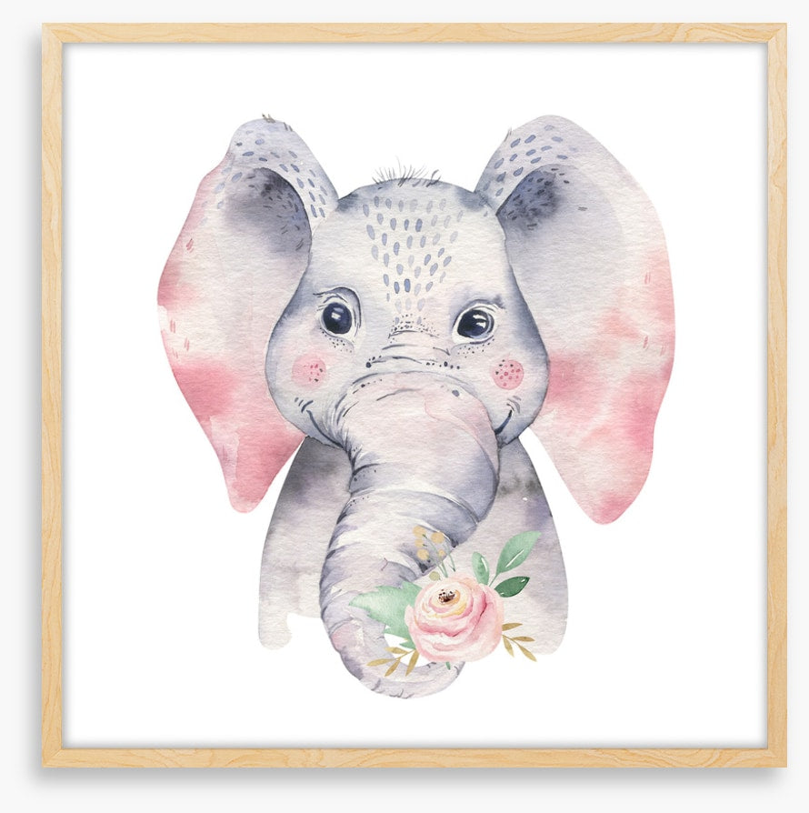 Elephants