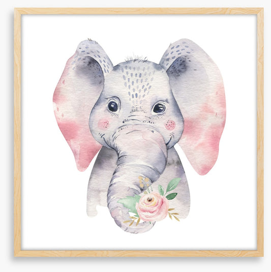 Elephants
