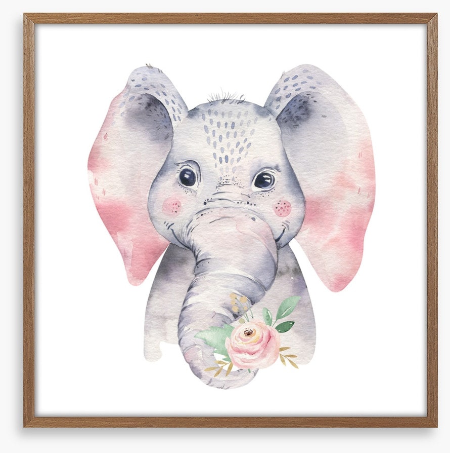Elephants
