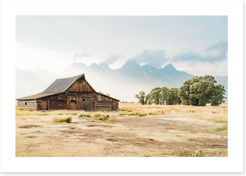 Beyond the barn