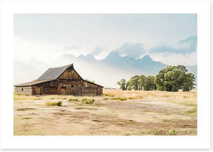 Beyond the barn