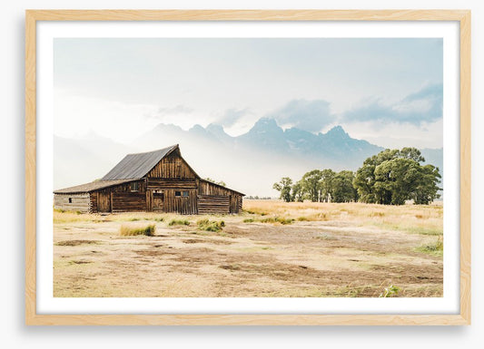 Beyond the barn