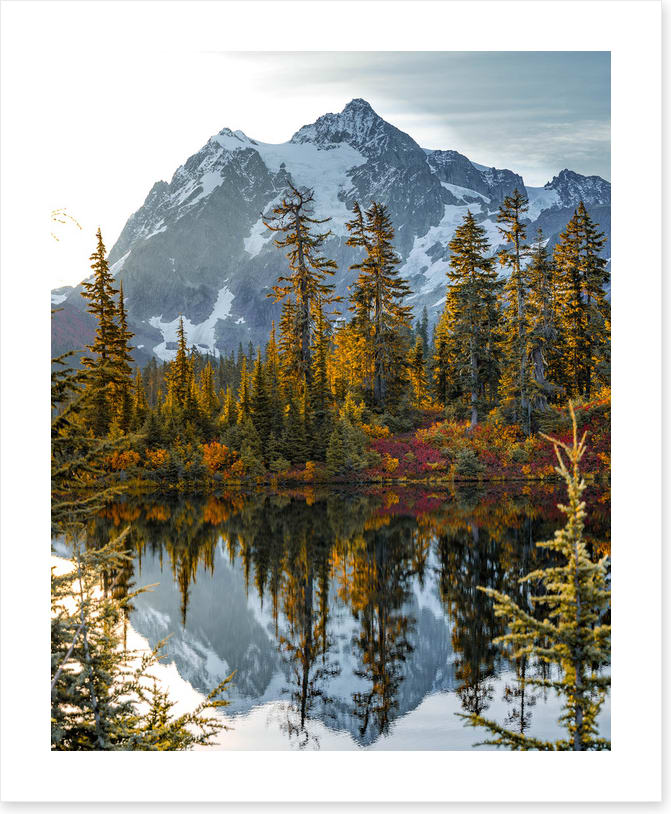 Peaks and pine