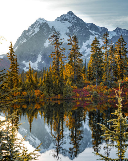 Peaks and pine