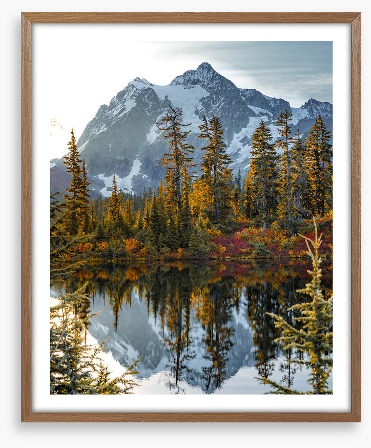 Peaks and pine