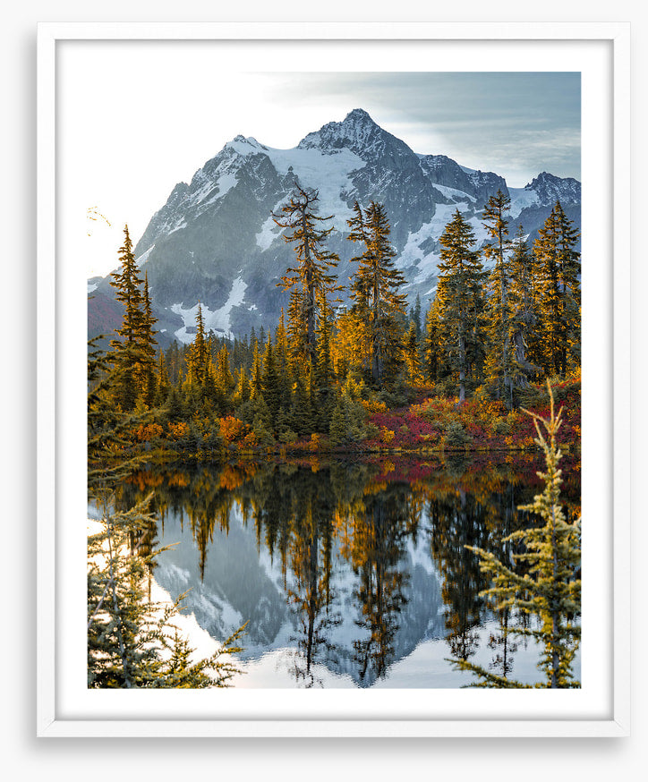 Peaks and pine
