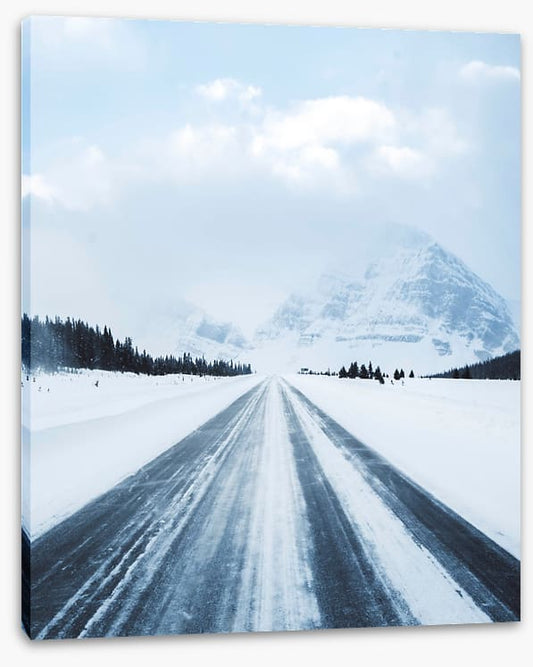 To the snow