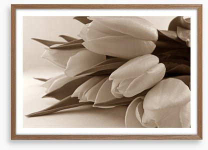 The time of tulips