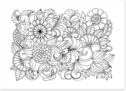 Colour me blooming