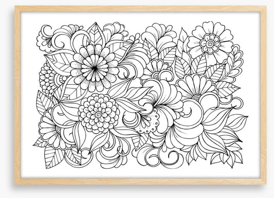 Colour me blooming