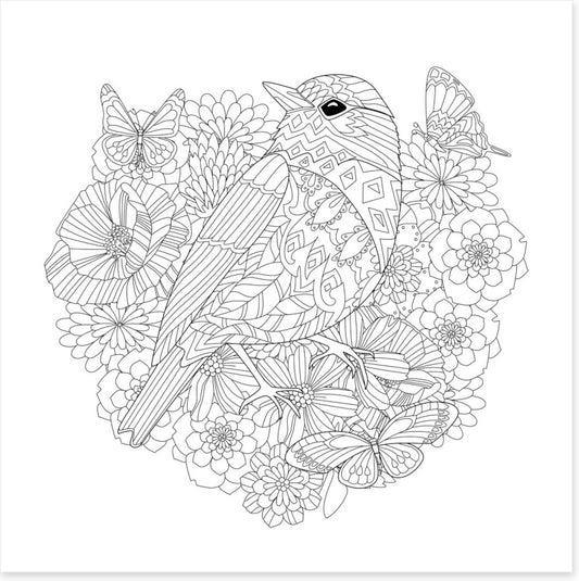 Colour me pretty bird