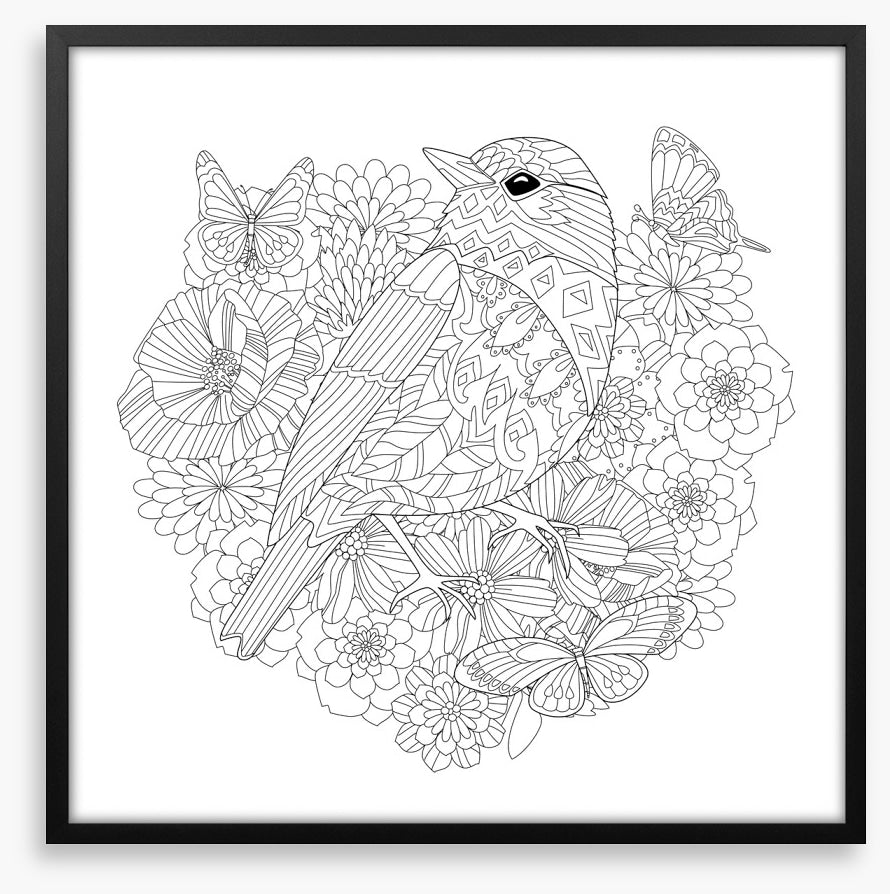 Colour me pretty bird