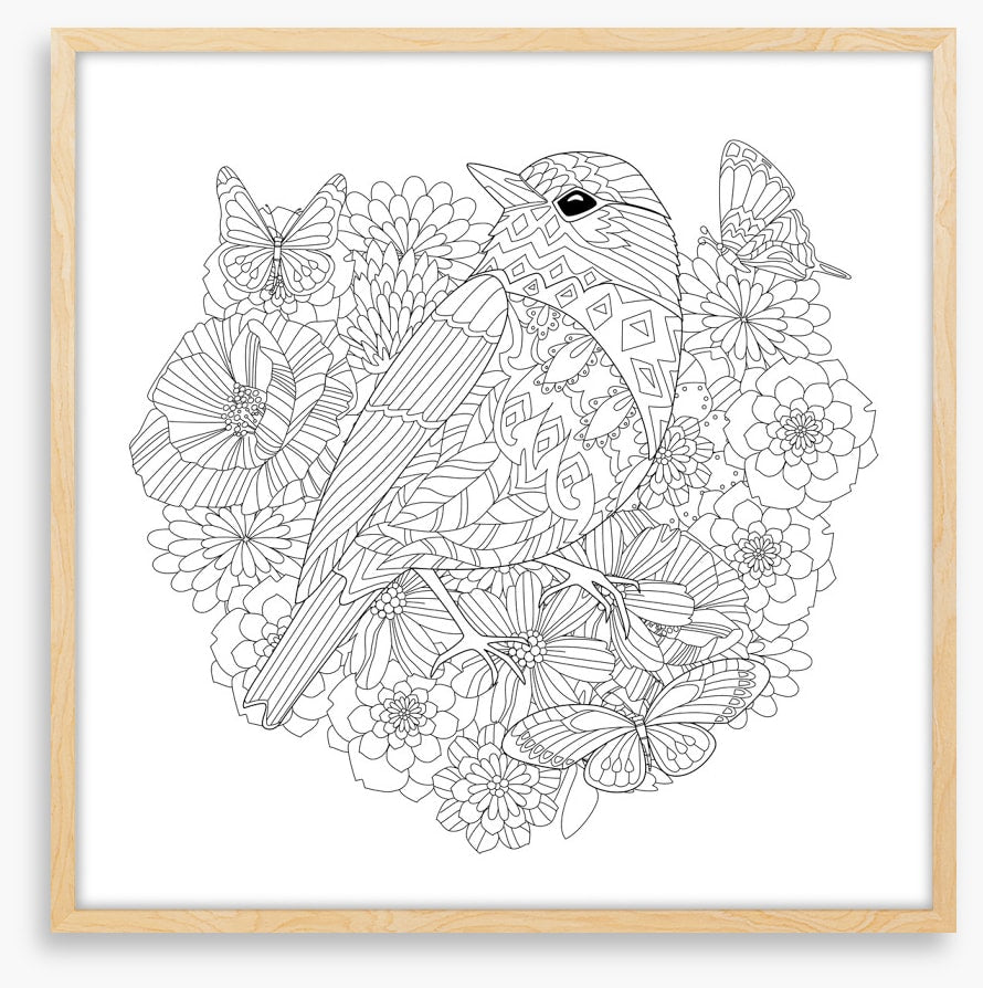 Colour me pretty bird