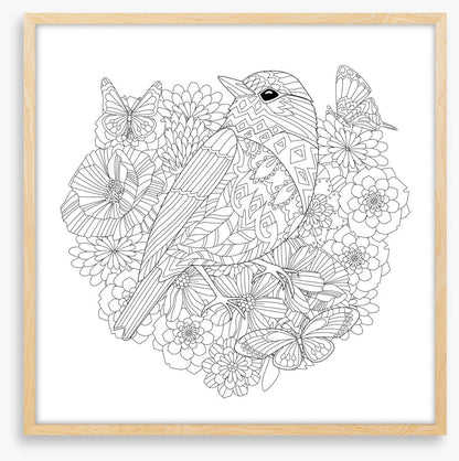 Colour me pretty bird