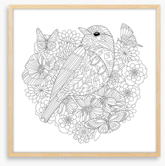 Colour me pretty bird