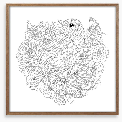 Colour me pretty bird