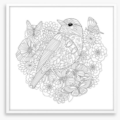 Colour me pretty bird