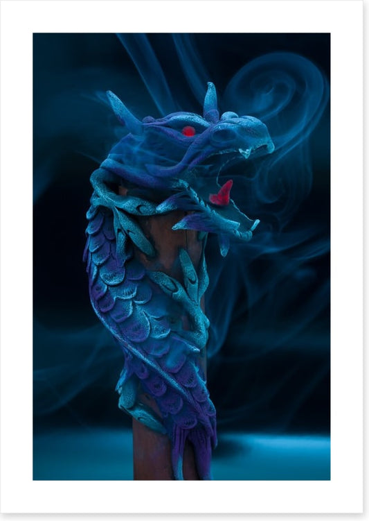 Dragons