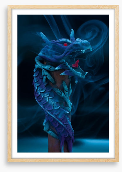 Dragons