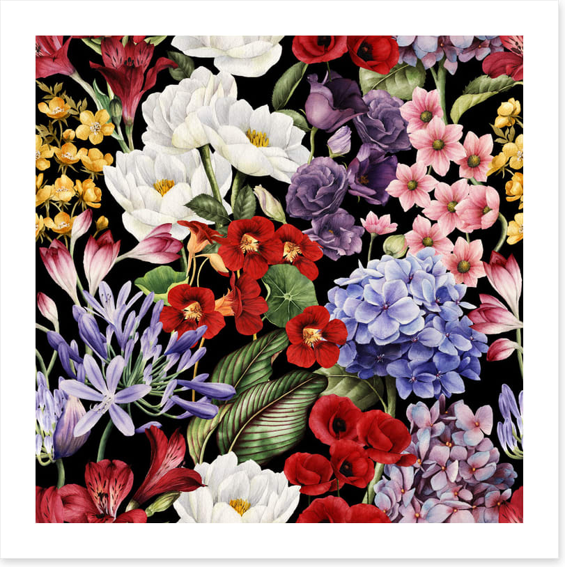 In full bloom