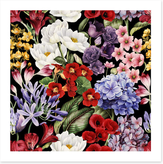 In full bloom