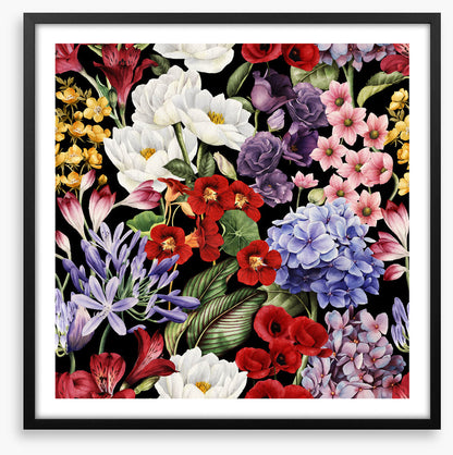 In full bloom