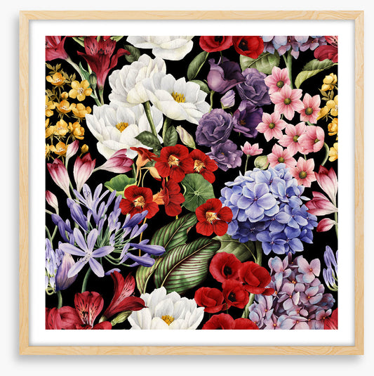 In full bloom