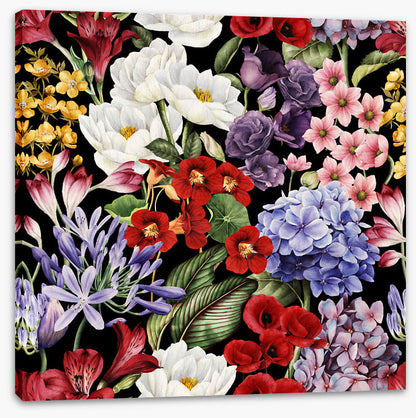 In full bloom