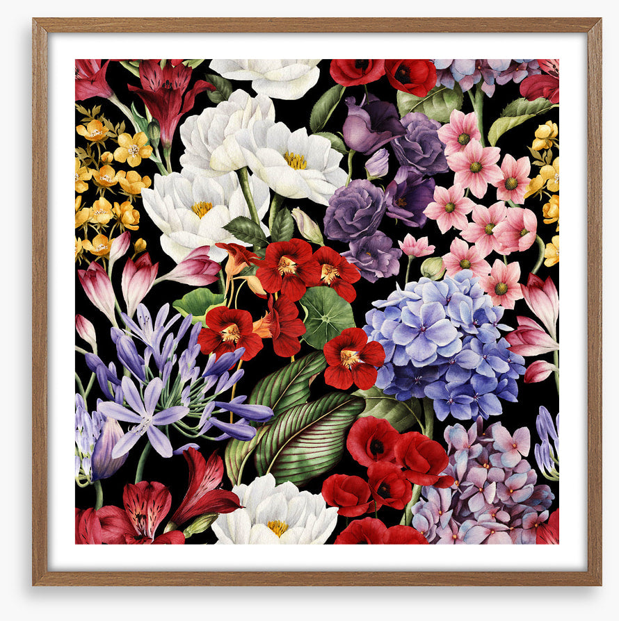In full bloom