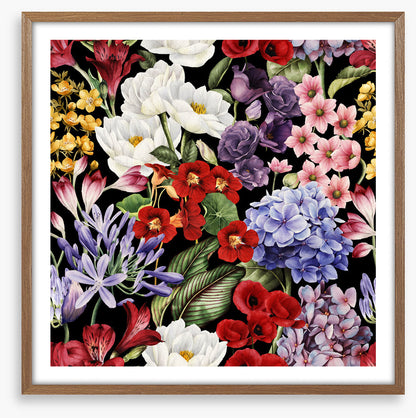 In full bloom