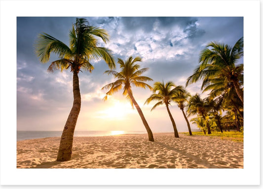 Coconut sunrise
