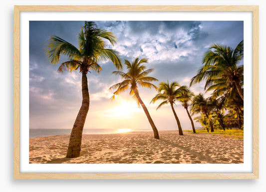 Coconut sunrise