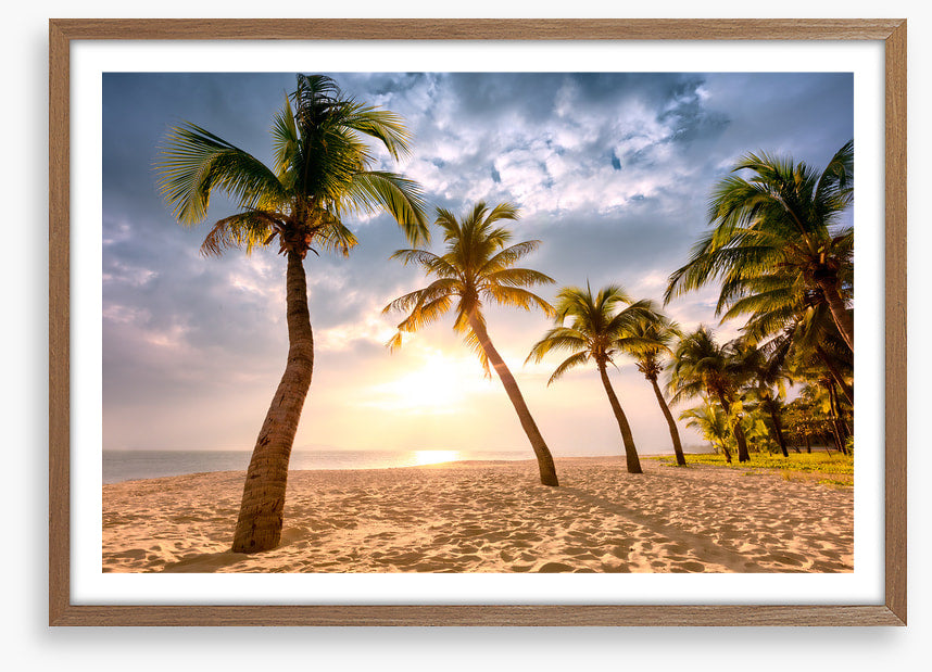 Coconut sunrise