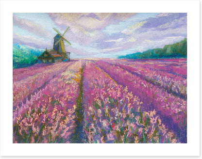 The lavender mill
