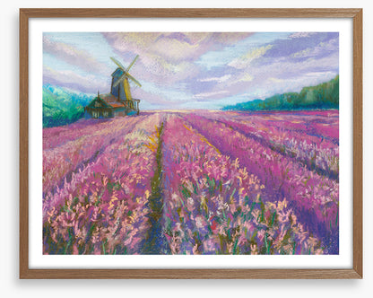 The lavender mill