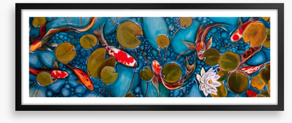 Lily pond goldfish