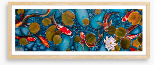 Lily pond goldfish