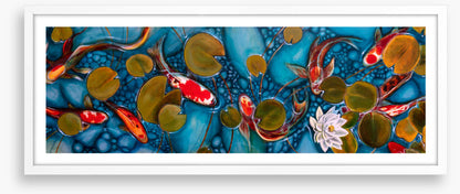 Lily pond goldfish