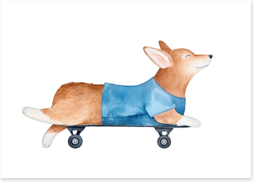 Sleepy skater