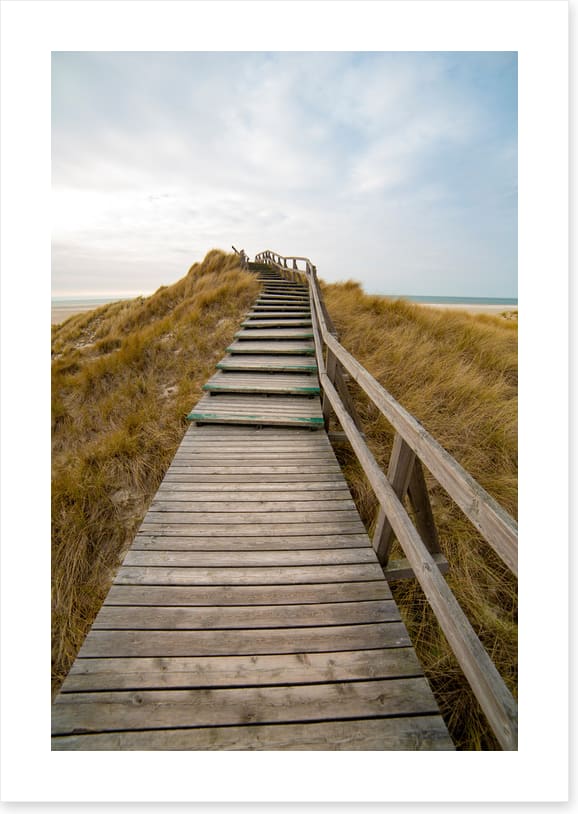 Jetty