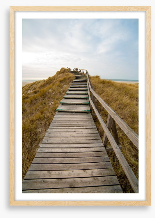 Jetty