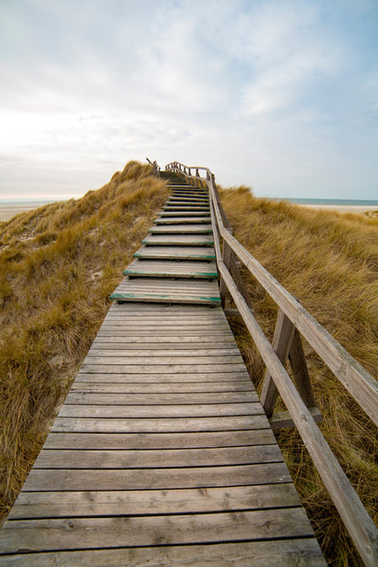 Jetty