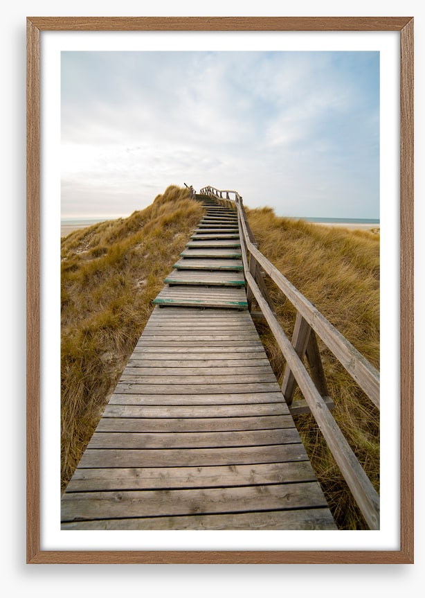 Jetty