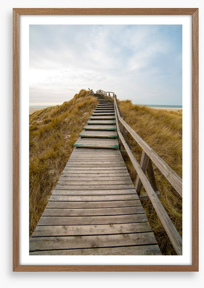 Jetty