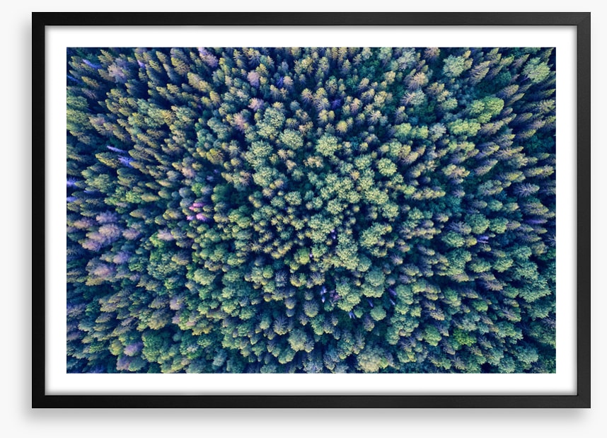 Abstract