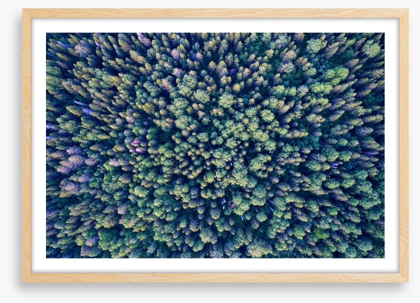 Abstract
