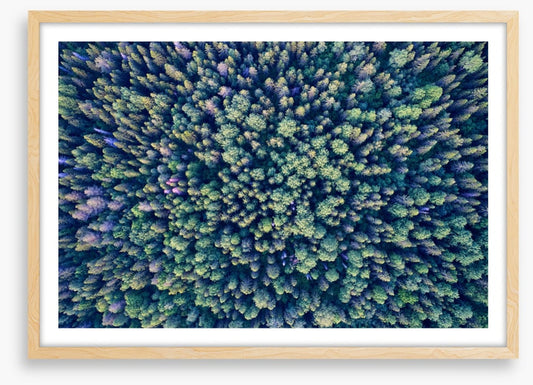 Abstract